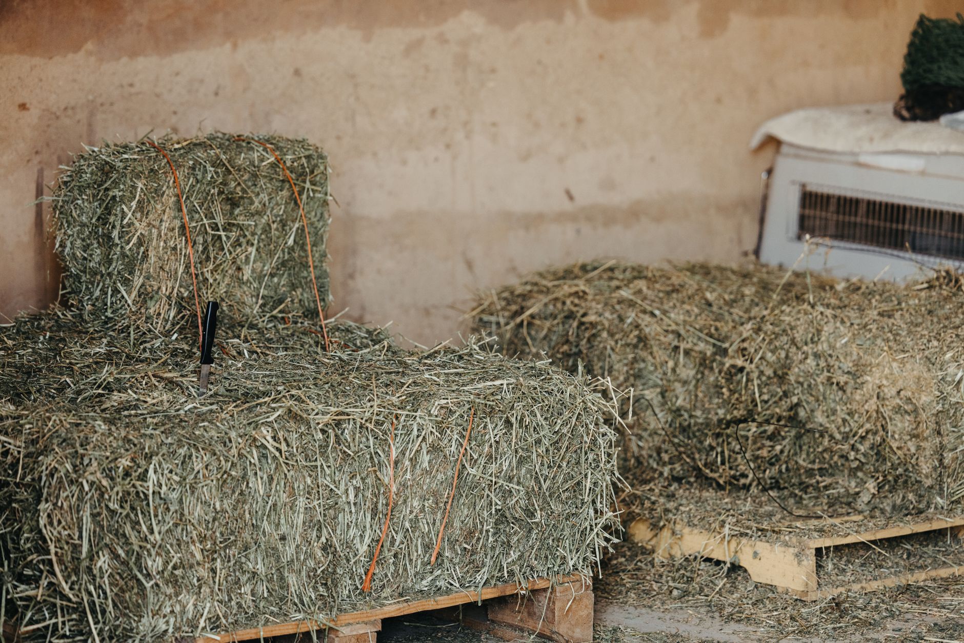 Small square bales stacked on wooden pallets against a barn wall, keeping them clear of the floor