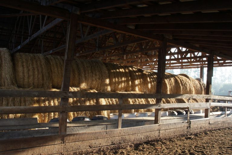 Rows of hay bales stacked under a barn roof, out of the weather