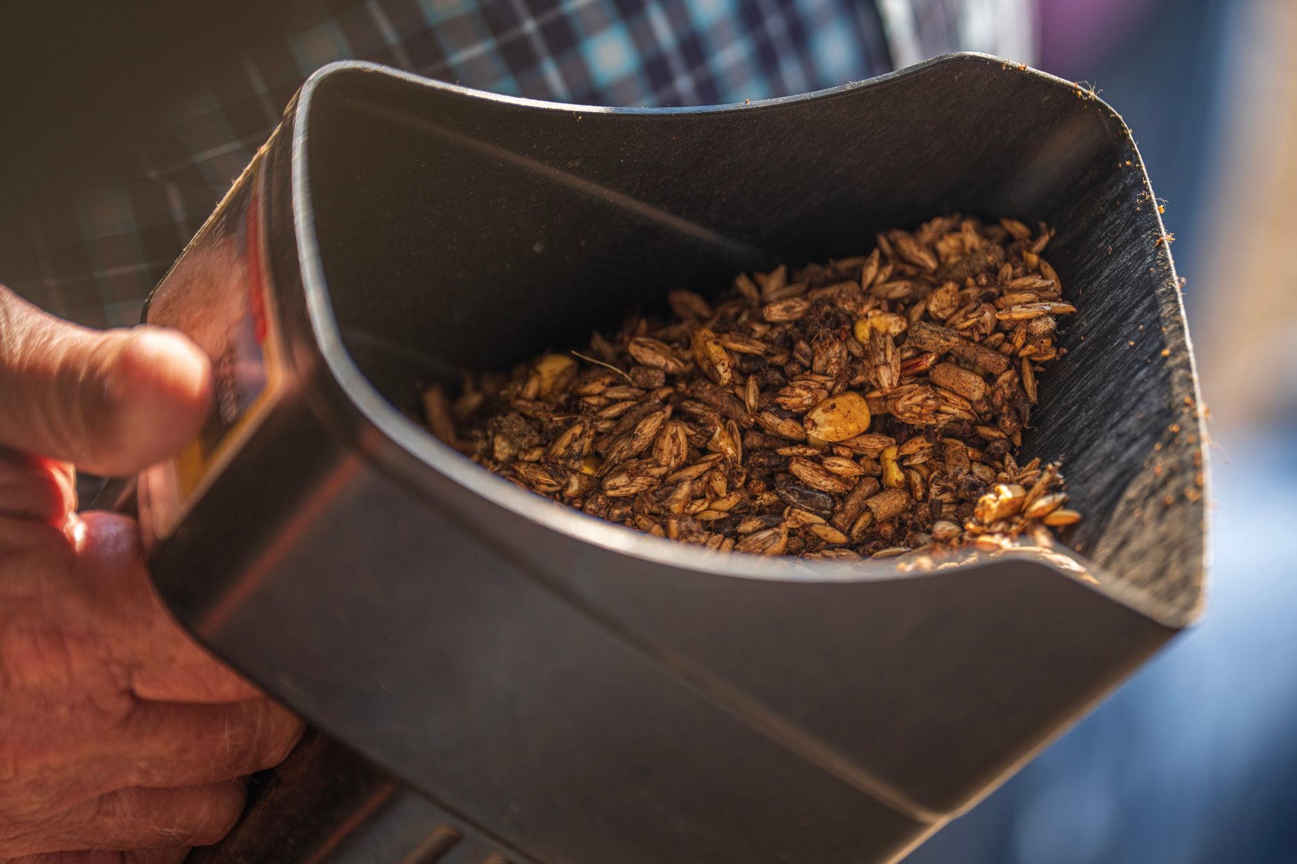 A black plastic feed scoop held in one hand, part-filled with a textured mix of whole grains and pellets