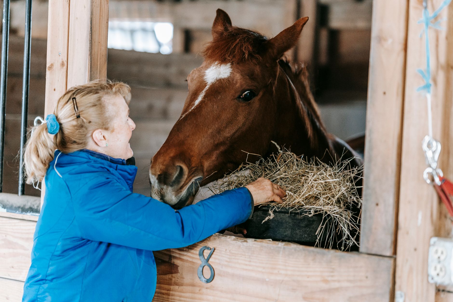 A person putting a flake of hay into a horse stall feeder while the horse waits